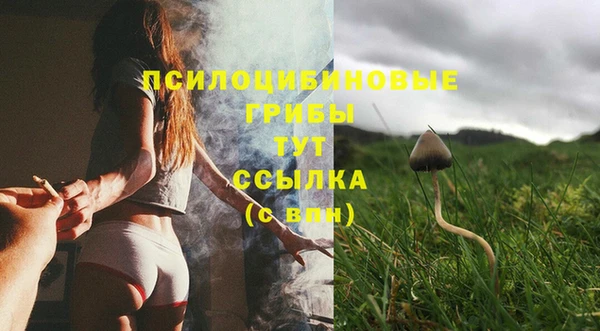 ГАЛЛЮЦИНОГЕННЫЕ ГРИБЫ Покачи
