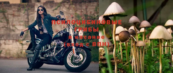 а пвп мука Алексин