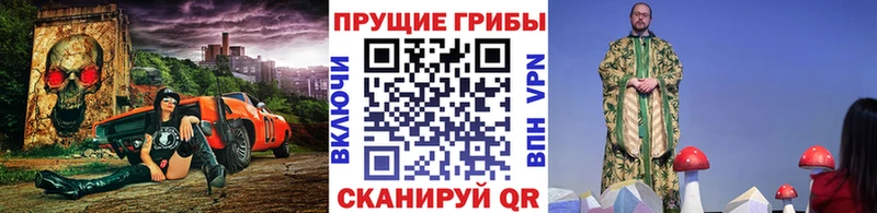 наркотики Каргат Галлюциногенные грибы Psilocybine cubensis